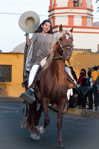 Comentarii opinii despre Fundo Mamá Vieja