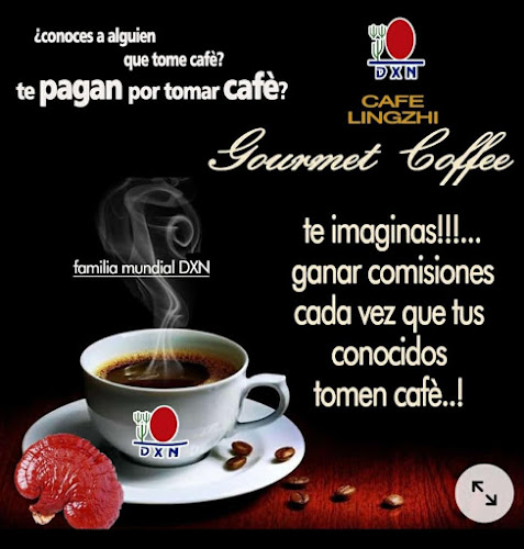 le café des copains