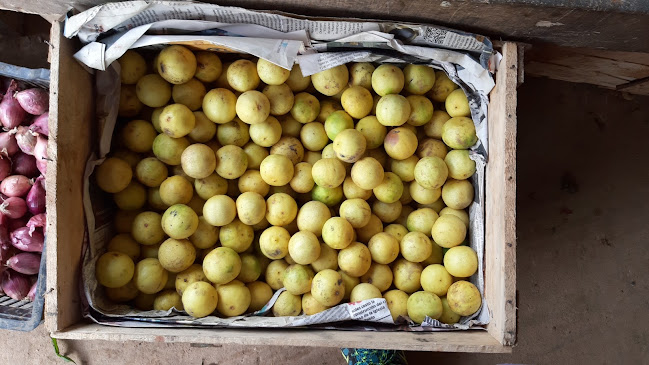 Habilitacion Urbana Municipal 1010, Pucallpa 25003