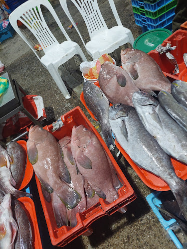 Terminal Pesquero Piura - Piura