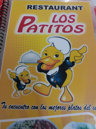 Antigua Panamericana S 90, 11702