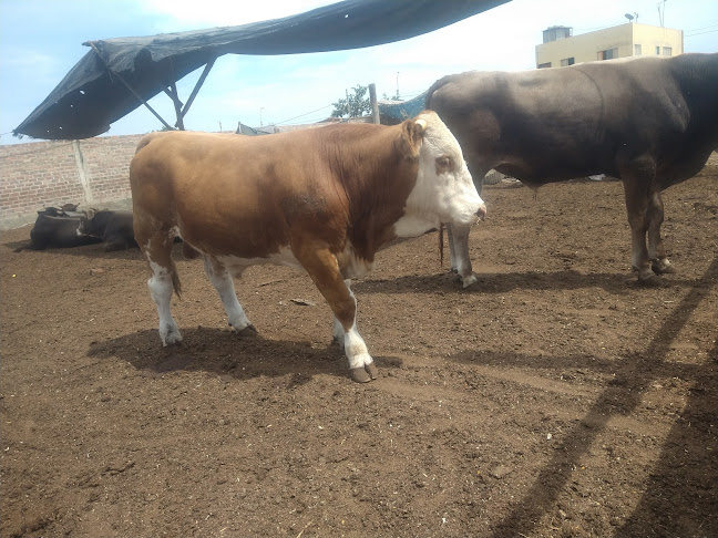 Heladería la Florencia