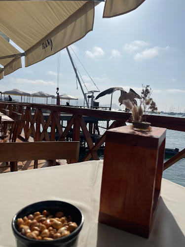 Comentarii opinii despre Rana La Punta