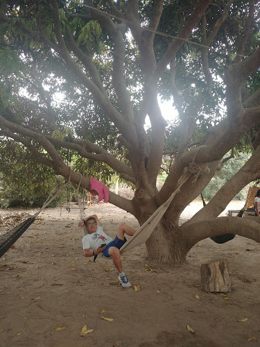 Chicha de Jora Huarmeyana - Gastronomía y hostelería