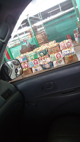 C. El Palmo 1, Huaral 15201