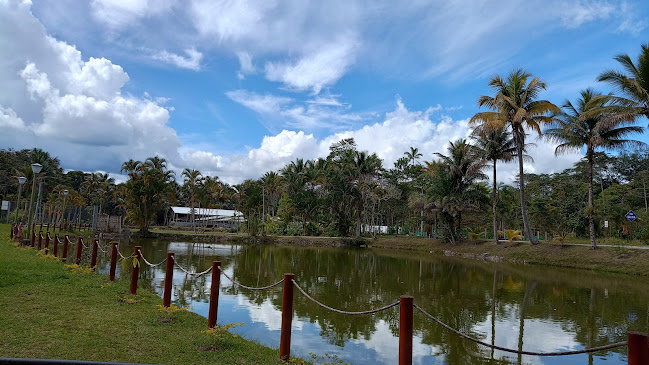 Jirón 25 De Mayo s/n, Moyobamba 22001