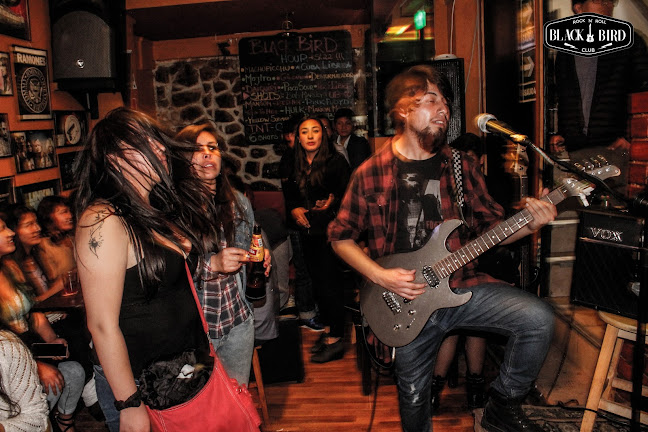 Blackbird Club - Cusco