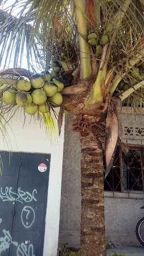 Comentarii opinii despre Distribuidora Don Javier