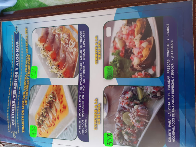 7Q9G+WQC, Pisco 11601