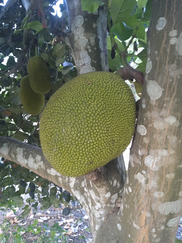 Induagro Fertilizer - Gastronomía y hostelería