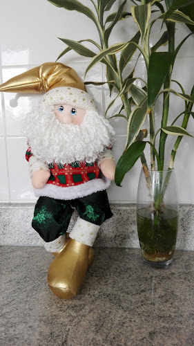 Av Fermín Tanguis 473, Pisco 11601