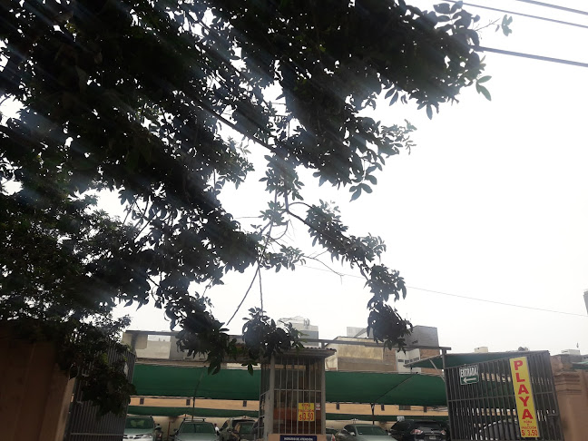 Café Orgánico del Perú - KafePeru - Gastronomía y hostelería