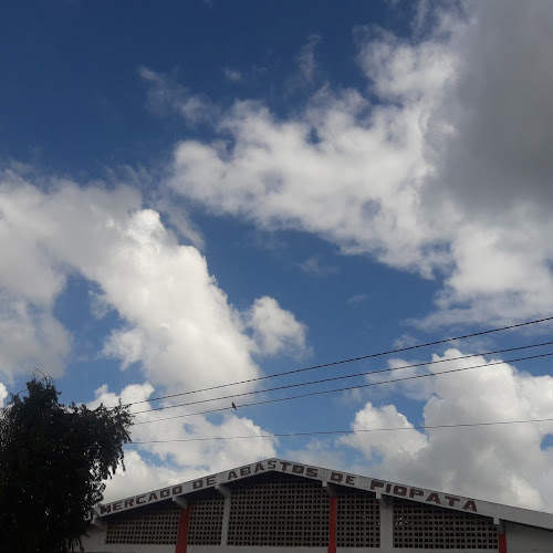 Opinii despre Mercado de Abastos de Pio Pata în Huancayo - Gastronomía y hostelería