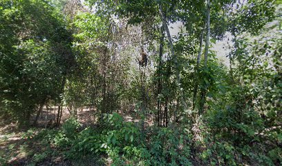 Recreo campestre la granja verde