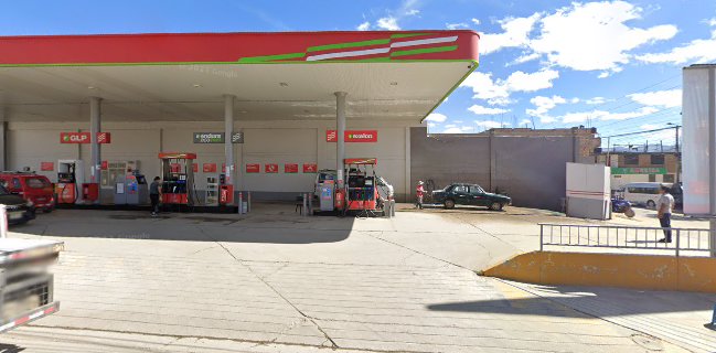 El Patron Market Distribuidor