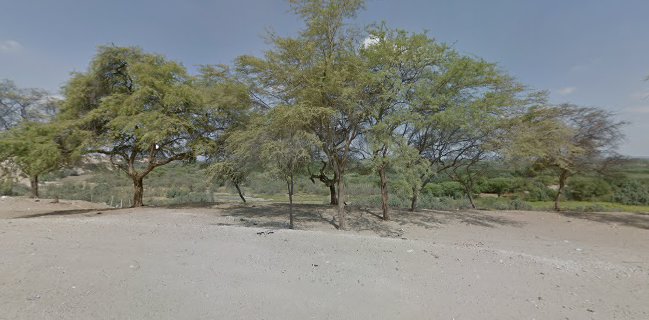 Mirador Los Ejidos Curumuy