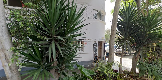 Monterosso Gelateria