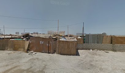 La Barra Cevichera De Roy