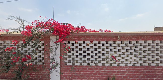 El rinconcito del goleador