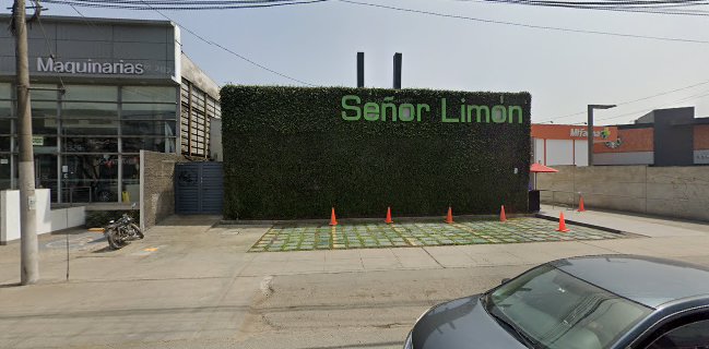 Señor Limón