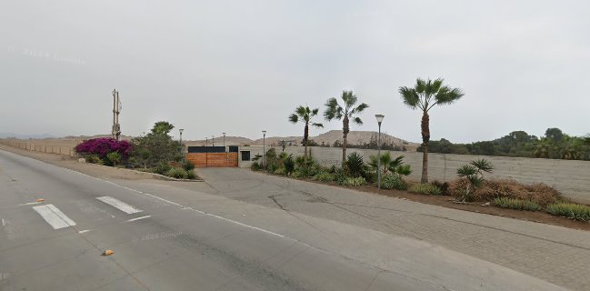 La Cafeteria del Museo de Pachacamac