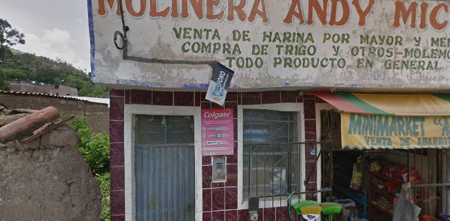 La Rosa De Altamirano