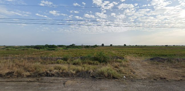 Resto-bar el fogón de mi viejo