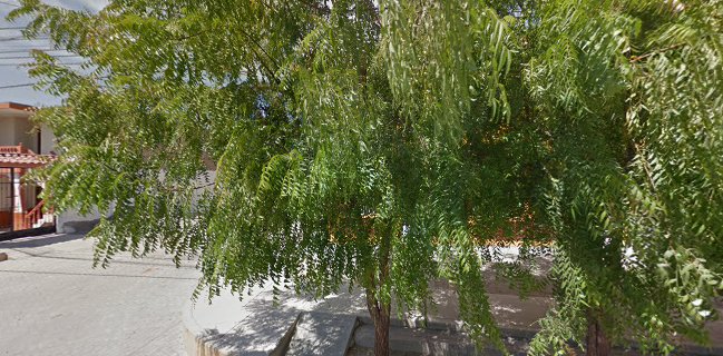 Cevichería el cóndor