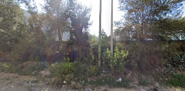 La Hacienda del Pony