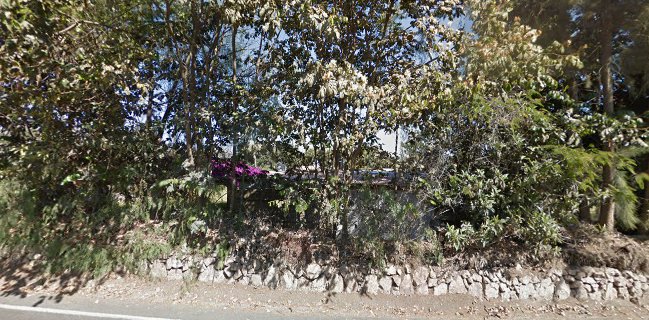 Restaurante Campestre "Las Buganvillas"