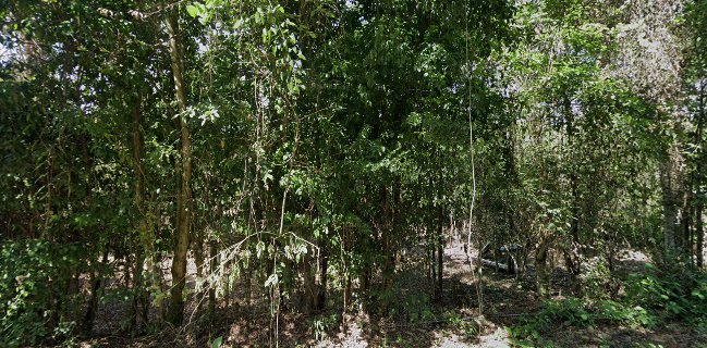 Recreo campestre la granja verde