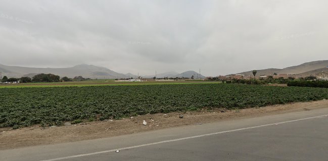 RESTAURANT - CEVICHERIA "MAR Y TIERRA"