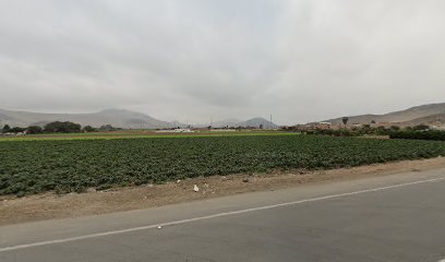 RESTAURANT - CEVICHERIA "MAR Y TIERRA"