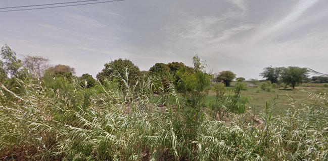 Picanteria "Los Mangales" Catacaos Piura Campestre