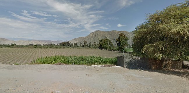 Rest. El algarrobo de Tayca