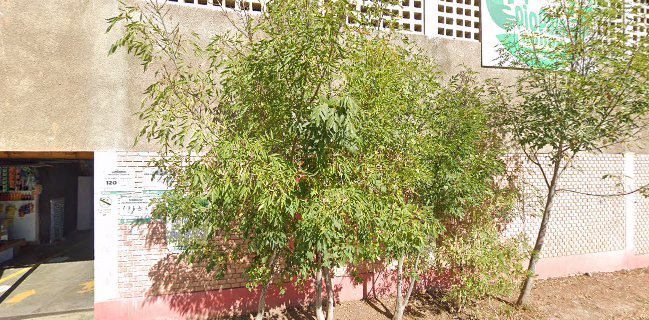 Mercado de Abastos de Pio Pata